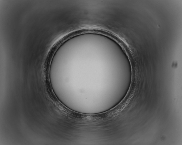 X0000100921311200806241104