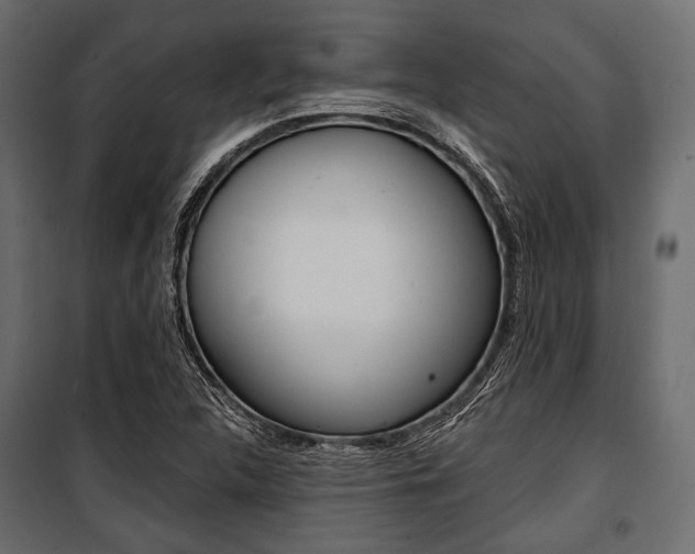 X0000100921312200806241104