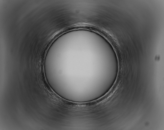 X0000100921313200806241104