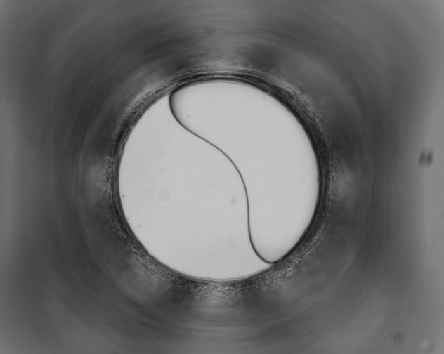 X0000100921314200806241104