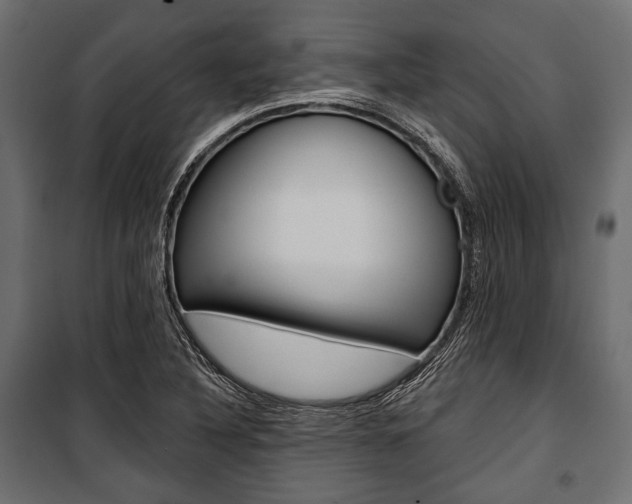 X0000100921316200806241104