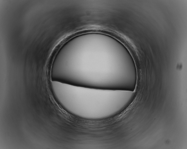 X0000100921318200806241104