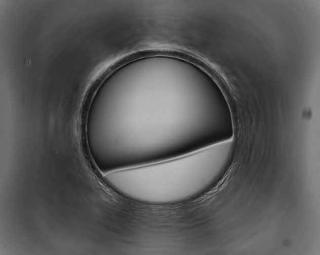 X0000100921319200806241104