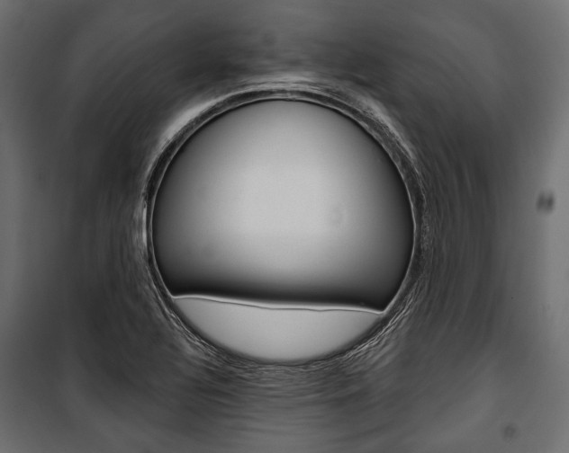 X0000100921320200806241104