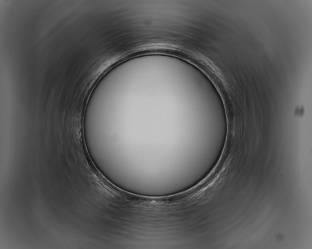 X0000100921321200806241104