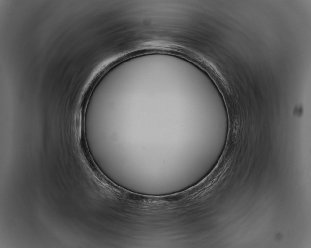 X0000100921323200806241104