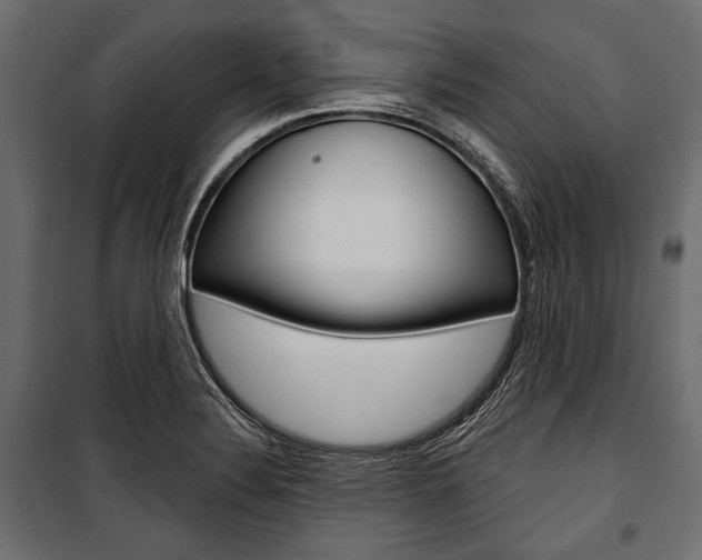 X0000100921324200806241104
