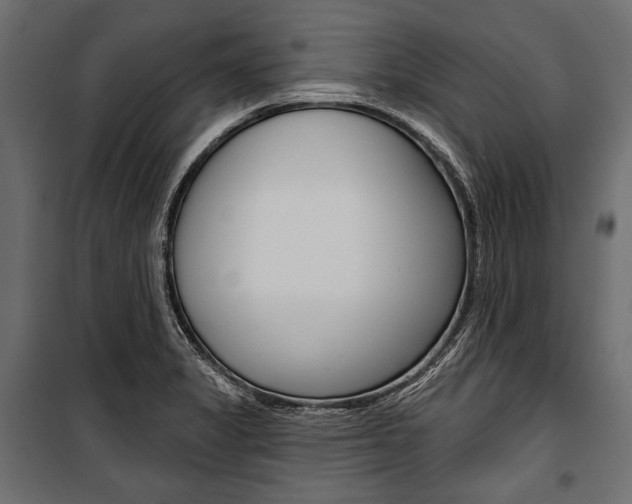 X0000100921325200806241104