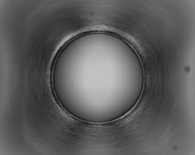 X0000100921326200806241104
