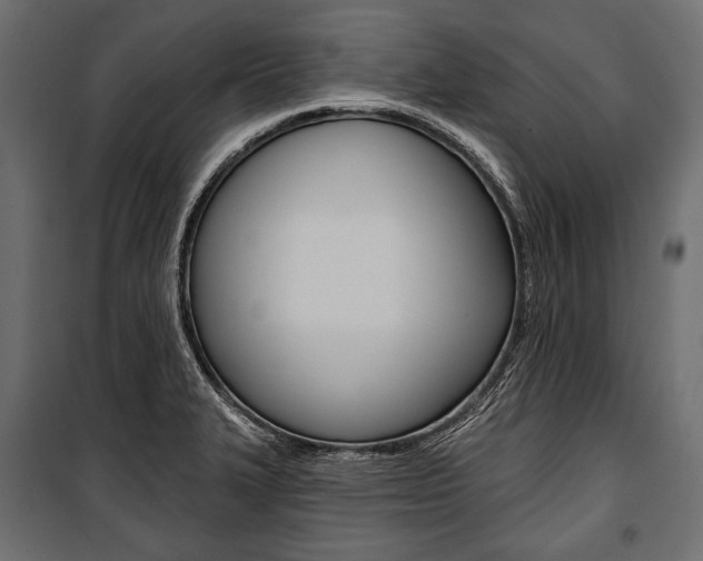 X0000100921327200806241104