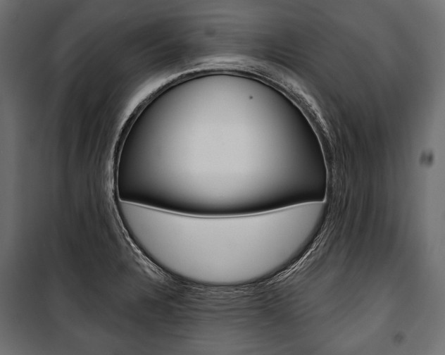X0000100921328200806241104