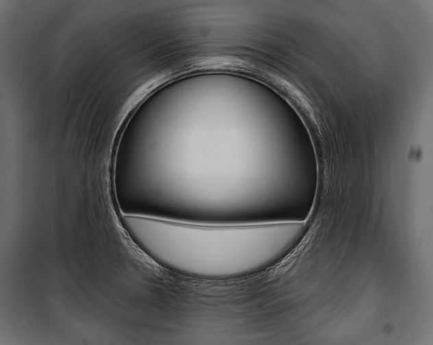 X0000100921330200806241104