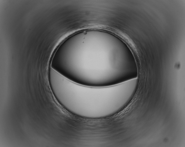 X0000100921332200806241104