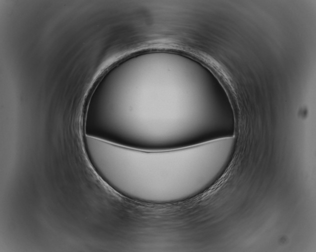 X0000100921334200806241104