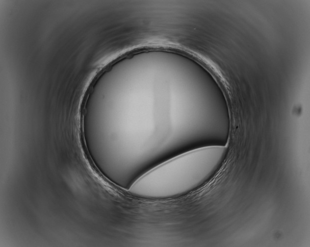 X0000100921335200806241104