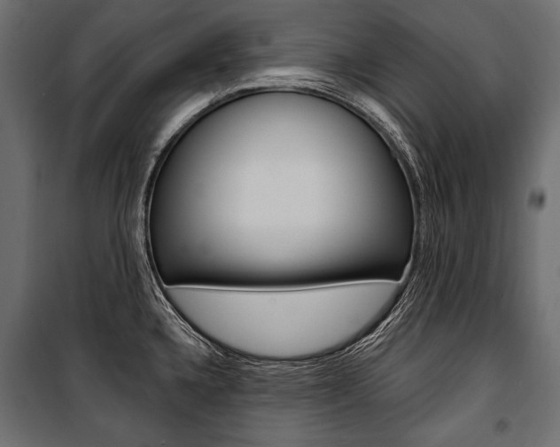 X0000100921336200806241104