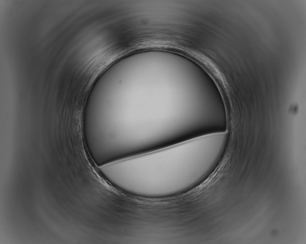 X0000100921337200806241104