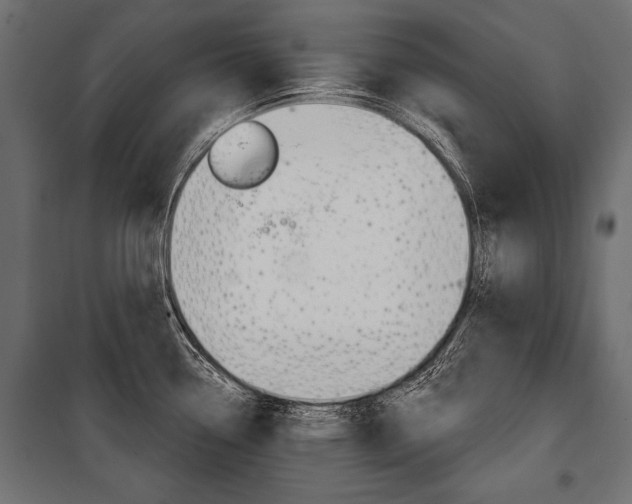 X0000100921338200806241104