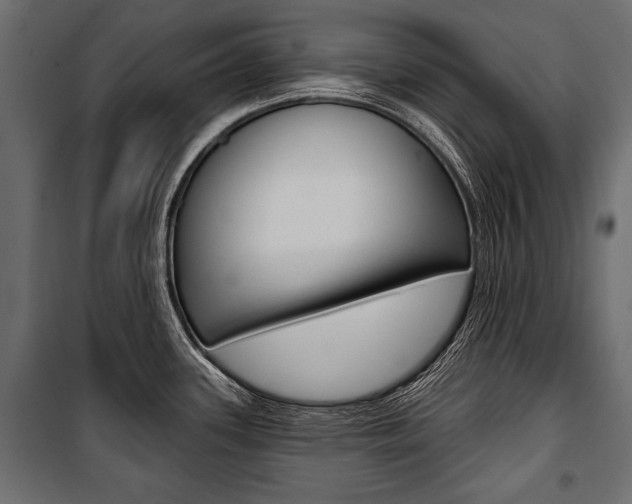 X0000100921339200806241104