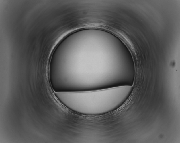 X0000100921340200806241104