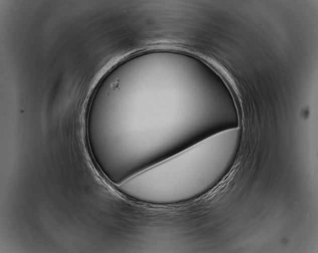 X0000100921341200806241104