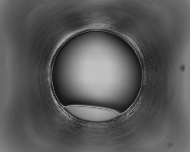 X0000100921342200806241104