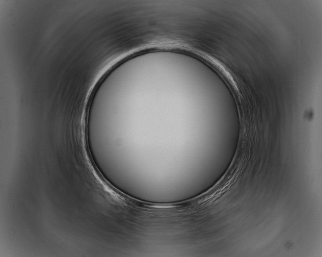 X0000100921343200806241104