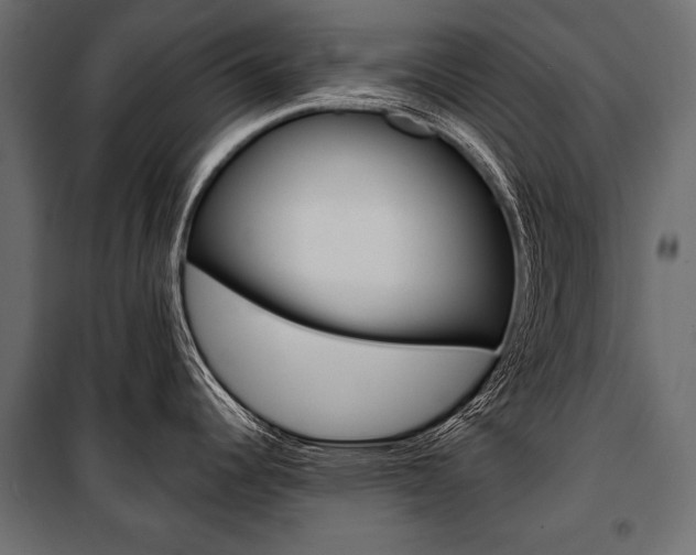 X0000100921344200806241104