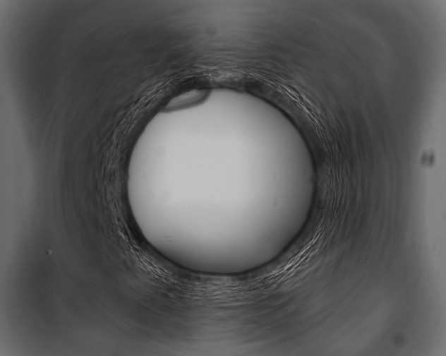X0000100921345200806241103