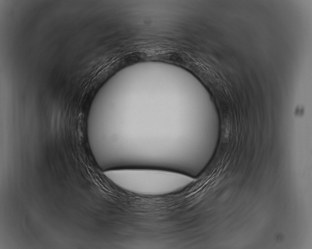 X0000100921346200806241103
