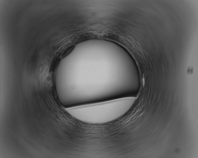 X0000100921347200806241103