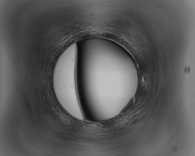 X0000100921348200806241103