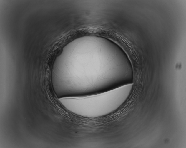 X0000100921349200806241103