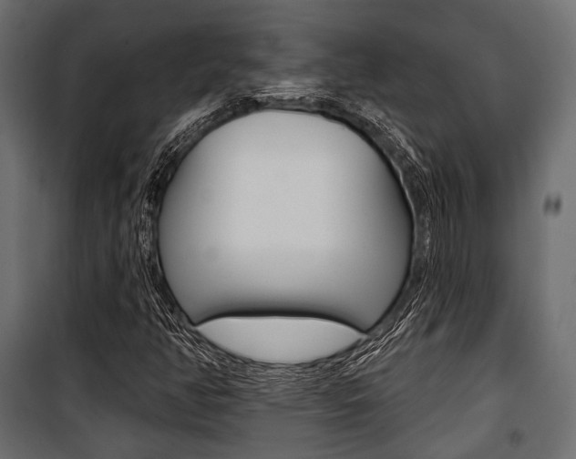 X0000100921350200806241103