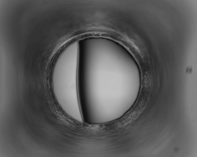 X0000100921352200806241103