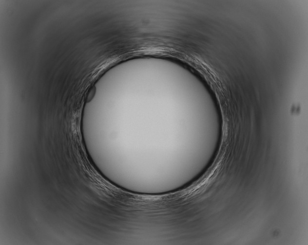 X0000100921353200806241103