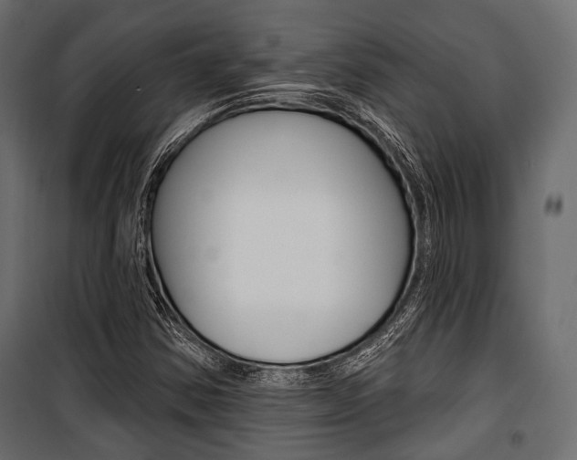 X0000100921354200806241103