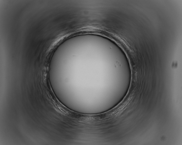 X0000100921355200806241103