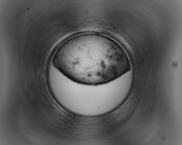 X0000100921356200806241103