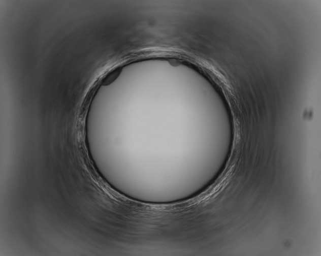 X0000100921357200806241103