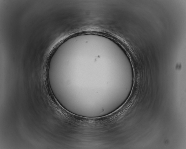 X0000100921359200806241103