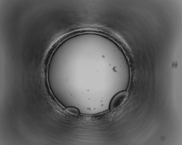 X0000100921360200806241103