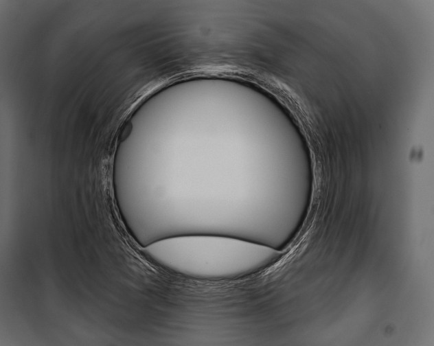 X0000100921361200806241103