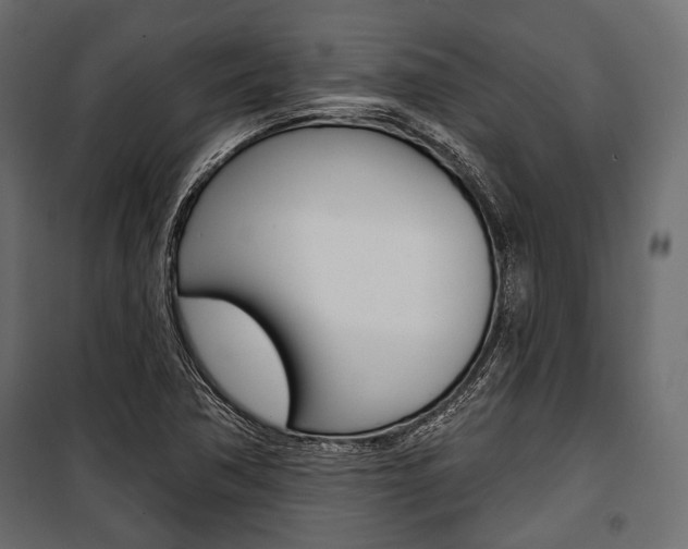 X0000100921362200806241103