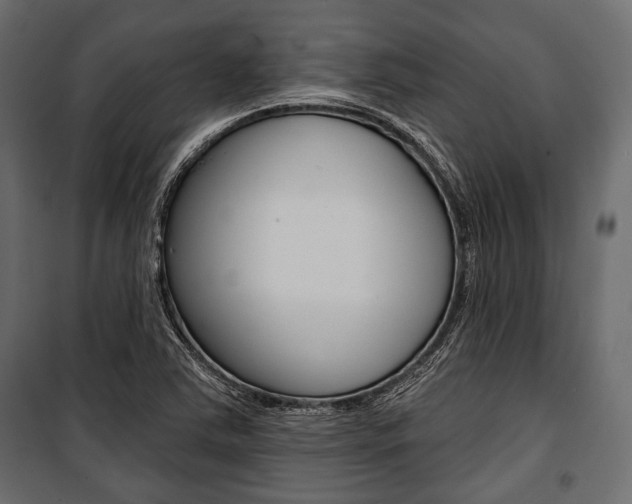 X0000100921363200806241103