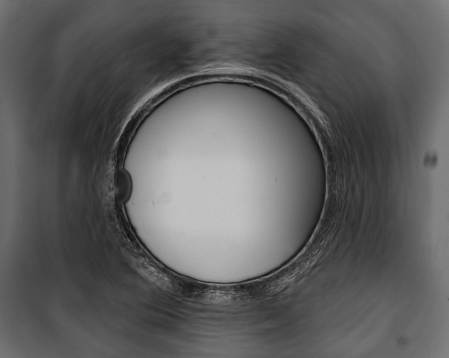 X0000100921364200806241103