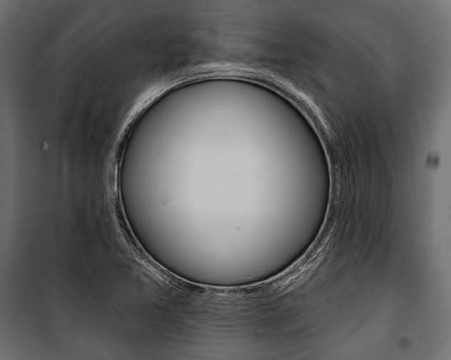 X0000100921365200806241103