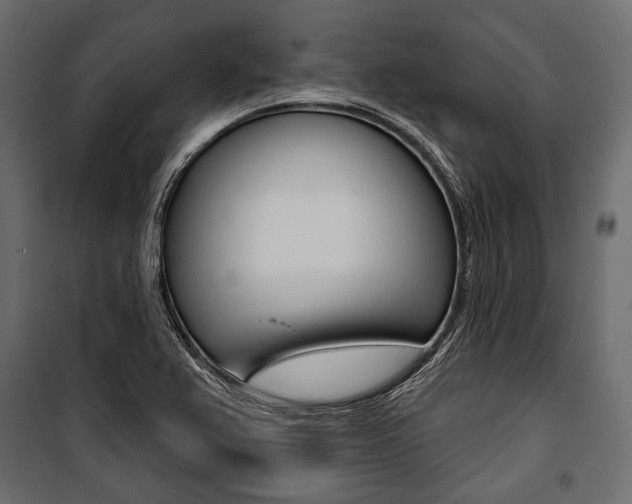 X0000100921367200806241103