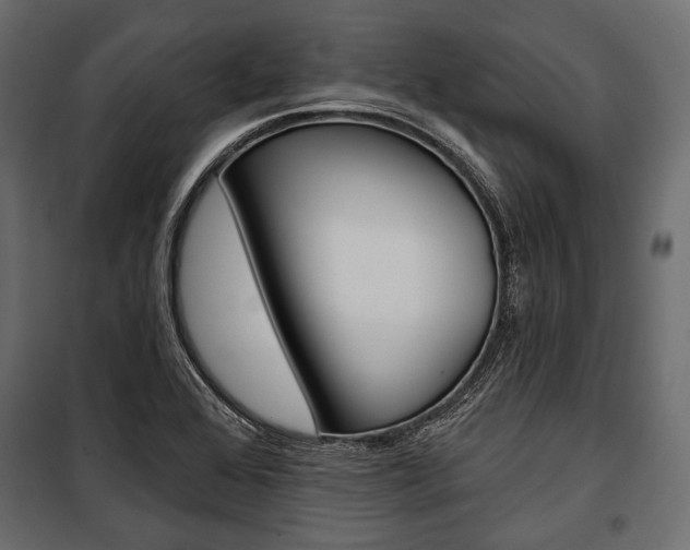 X0000100921368200806241103