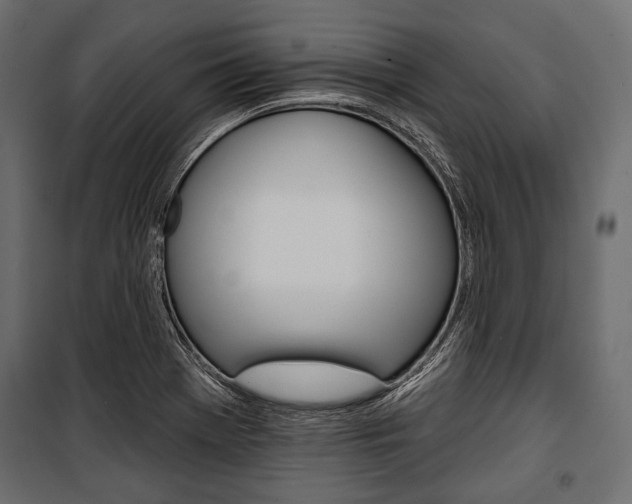 X0000100921369200806241103